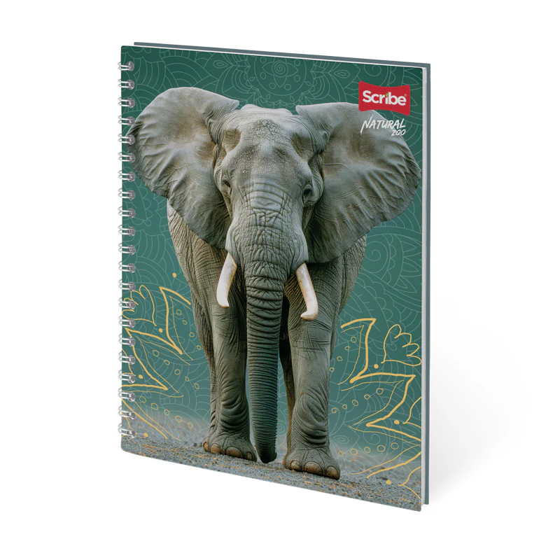 Imagen del producto 6