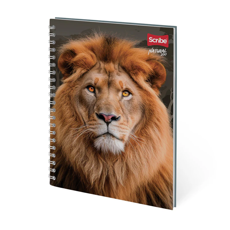 Imagen del producto 10